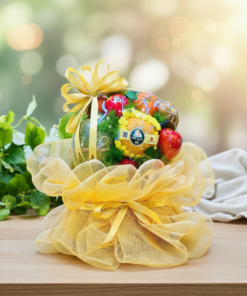 Giỏ Quà Sức Khỏe – CASANA Wellness Gift Basket