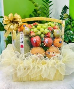 Giỏ Quà Sức Khỏe – CASANA Wellness Gift Basket