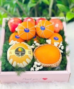 Hộp Quà Trái Cây – Tinh Tế & Thanh Lịch